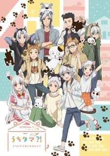 Uchitama (Episode 1 – 11) Subtitle Indonesia